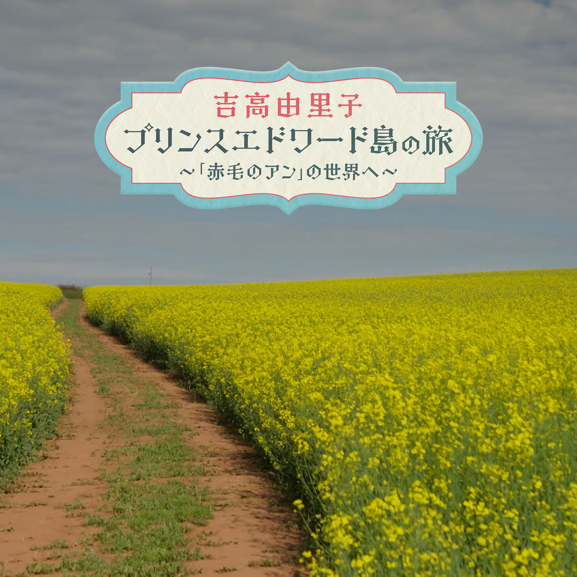 ジャケット写真