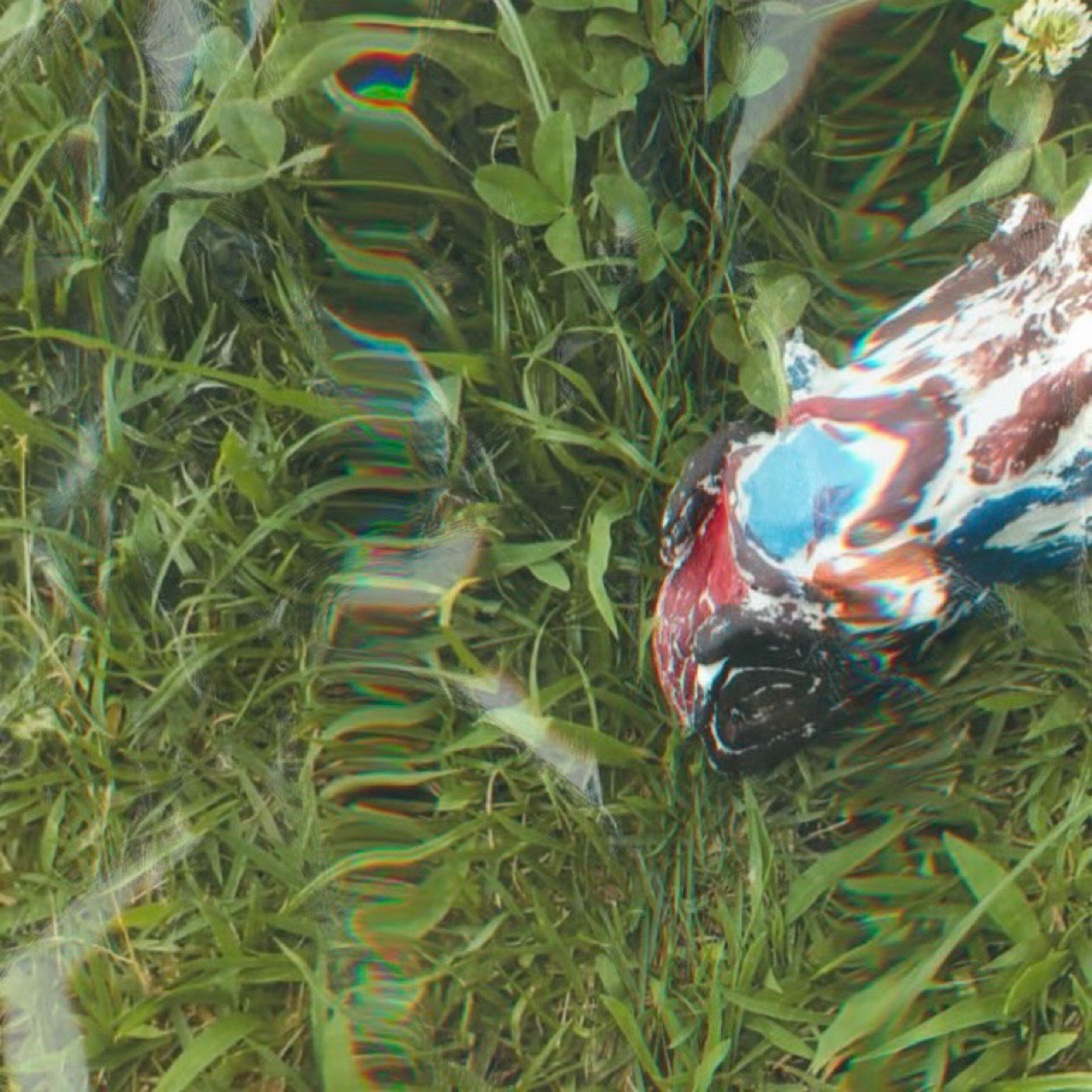 ジャケット